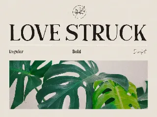 Love Struck font