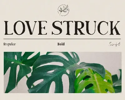 Love Struck font