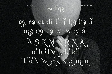 Suling || Modern Display Serif font