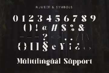 Agaleoz - Modern Display Font