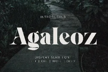 Agaleoz - Modern Display Font