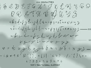 Megidame - Handwritten Signature font