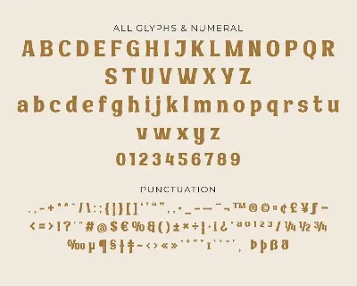 MAKOSI | Serif Classic Modernism font