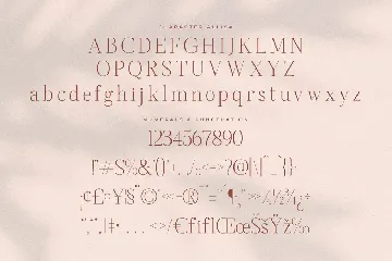 Allisa Modern Stylish Serif Font