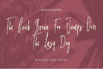 Medisonatyl - Handwritten Signature font