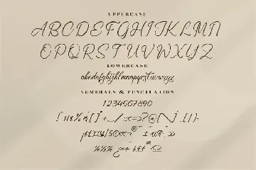 Ronald Mendoya Modern Script Font