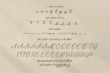 Ronald Mendoya Modern Script Font