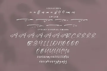 Casttika Modern Signature Font