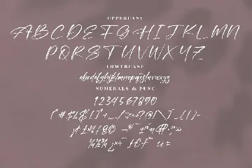 Casttika Modern Signature Font