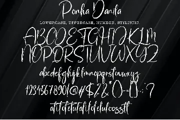 Ponha Danila font