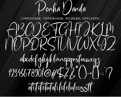 Ponha Danila font