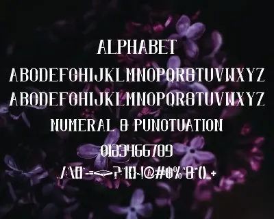 Baqta Font