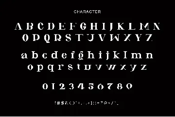 Masive Stories Ligature Serif Font