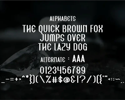 Shogunity II font