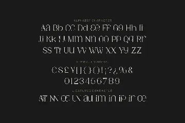 Amory Moist - Aesthetic Modern Font