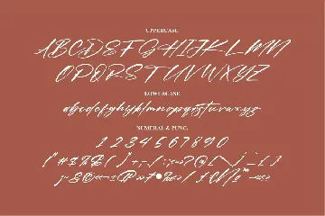 Randelion Signature Font