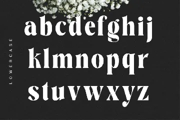 Elegant Display Serif Font