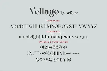 Vellago - Stylish Ligature Font