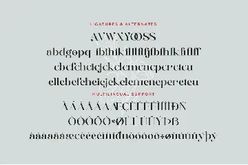 Vellago - Stylish Ligature Font