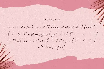 Cherolina-Lovely Elegant Script font