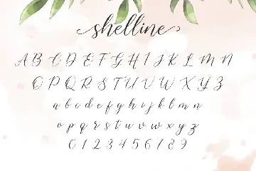 Shelline - Romantic Script font