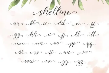 Shelline - Romantic Script font