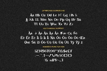 Naden - Modern Serif Font