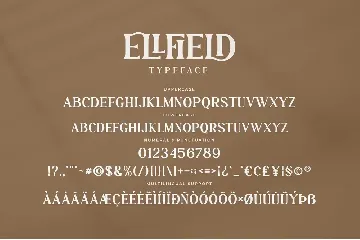 Ellfield - Stylish Ligature Font