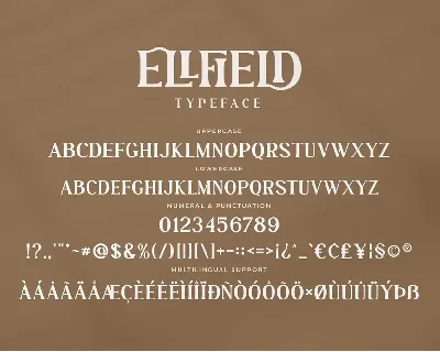 Ellfield - Stylish Ligature Font