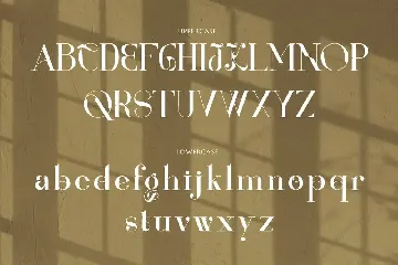 Renaisans Sans Modern Serif font