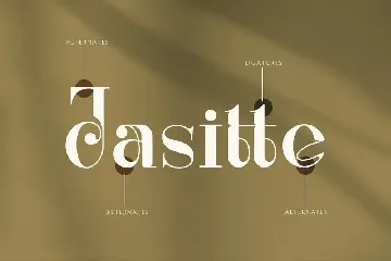 Renaisans Sans Modern Serif font