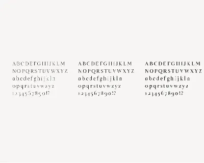 Naia - Sophisticated Serif Typeface font