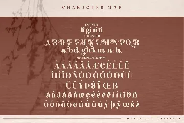 Megistica Modern Serif Font