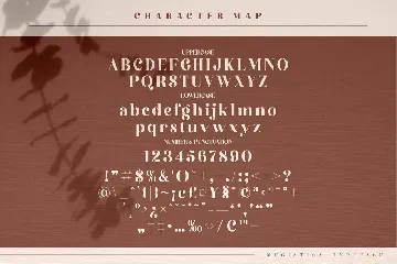 Megistica Modern Serif Font