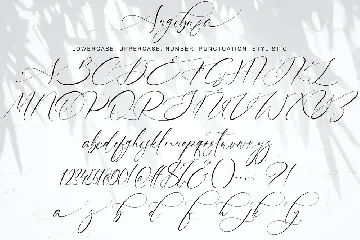 Angibusa font