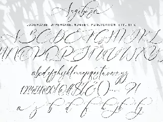 Angibusa font