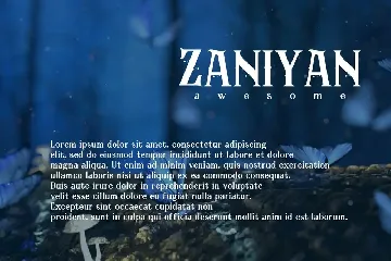 Zaniyan - Sans Serif Font