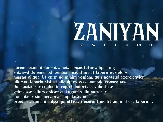 Zaniyan - Sans Serif Font