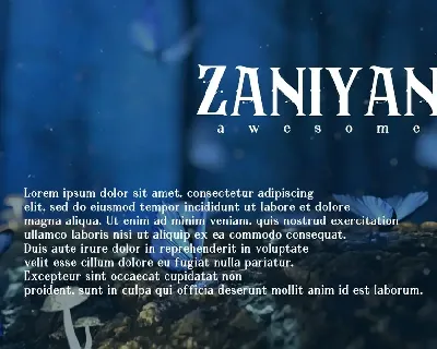 Zaniyan - Sans Serif Font