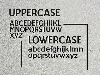 Artnivora Sans Pro font
