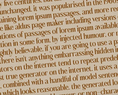 Bashield Serif Display Typeface font