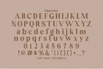 Arsene Modern Serif Typeface font