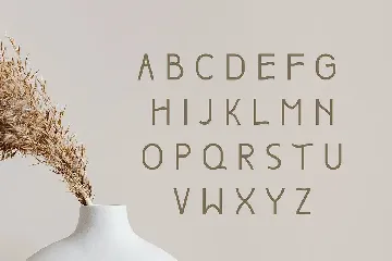 Boho Unique Display Font