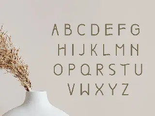 Boho Unique Display Font