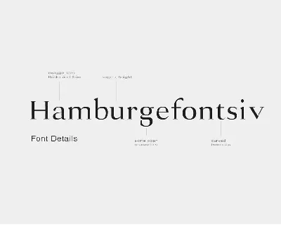 Augustine - A Strong Serif Typeface font