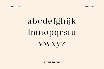 Paperboard Elegant Serif Font