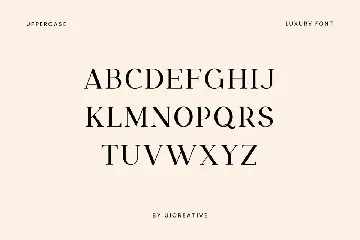 Paperboard Elegant Serif Font