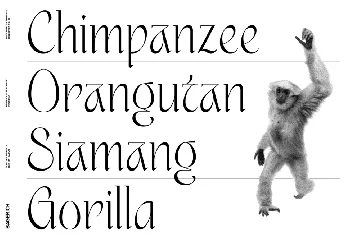 Guffonia font