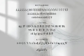 Avocalipss - Modern Serif Font