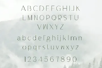 Thin Serif Unique Display Font